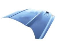 Ford FR3Z-16612-C Hood, Front Ford FR3Z-16612-C Hood, Front