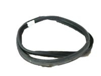 Ford DS7Z-5443720-A Weatherstrip Ford DS7Z-5443720-A Weatherstrip