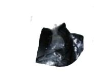 Ford F8DZ-19E746-CA A/C Line Clip, Rear Ford F8DZ-19E746-CA A/C Line Clip, Rear