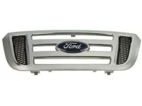 Ford 6L5Z-8200-AAA Grille, Front