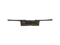 Ford DC3Z-17B807-AA Step Pad, Rear