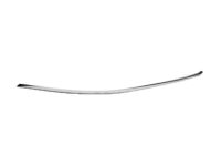 Ford AG1Z-5420551-B Upper Molding, Front Driver Side Ford AG1Z-5420551-B Upper Molding, Front Driver Side