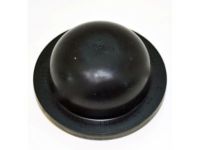 Ford F3DZ-1N135-A Dust Cap, Rear