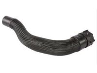 Ford AA5Z-8286-D Lower Hose Ford AA5Z-8286-D Lower Hose
