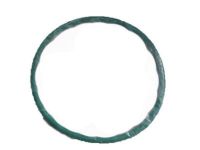 Ford 4L3Z-9276-AA Fuel Pump Gasket Ford 4L3Z-9276-AA Fuel Pump Gasket