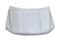 Ford JL1Z-16612-A Hood, Front Ford JL1Z-16612-A Hood, Front