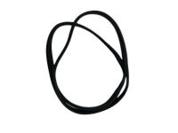 Ford DT1Z-6125324-B Body Weatherstrip, Inner Ford DT1Z-6125324-B Body Weatherstrip, Inner