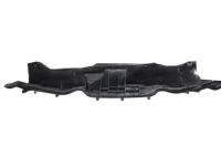 Ford GN1Z-58016B26-A Extension Panel Ford GN1Z-58016B26-A Extension Panel