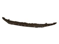 Ford HL3Z-17626-AA Valance Panel, Front Ford HL3Z-17626-AA Valance Panel, Front