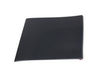 Ford 7L7Z-16A039-APTM Side Molding, Driver Side