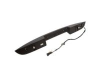 Ford 8L1Z-7843400-AAPTM Handle, Rear