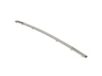 Ford 6L9Z-17232-AAB Molding Ford 6L9Z-17232-AAB Molding