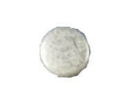 Ford E6DZ-6026-C Plug - Engine Ford E6DZ-6026-C Plug - Engine