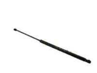 Ford DP5Z-16C826-A Lift Cylinder Ford DP5Z-16C826-A Lift Cylinder
