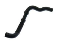 Ford BB5Z-8286-N Lower Hose Ford BB5Z-8286-N Lower Hose