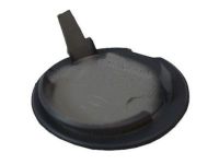 Ford BB5Z-17A900-APTM Cap, Front