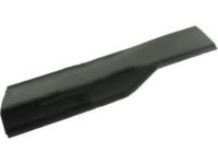 Ford FT4Z-5825556-AB Lower Molding, Black, Rear Passenger Side
