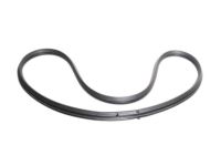 Ford XF2Z-1629904-AA Weatherstrip, Passenger Side Ford XF2Z-1629904-AA Weatherstrip, Passenger Side