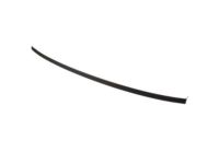 Ford CP9Z-5450463-A Roof Molding, Driver Side Ford CP9Z-5450463-A Roof Molding, Driver Side