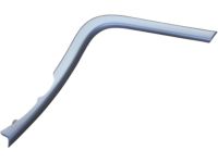 Ford DT4Z-78061A16-AA Trim Molding, Front Passenger Side Ford DT4Z-78061A16-AA Trim Molding, Front Passenger Side