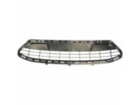 Ford AE8Z-8200-CA Bumper Grille, Front Lower Ford AE8Z-8200-CA Bumper Grille, Front Lower