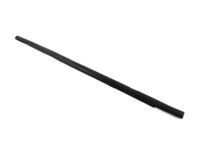 Ford BM5Z-5821452-A Belt Weatherstrip, Front Outer Passenger Side