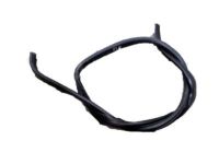 Ford 1L2Z-7820708-AA Weatherstrip Assembly - Door Opening