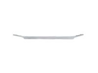 Ford AE5Z-8200-C Upper Grille, Front Ford AE5Z-8200-C Upper Grille, Front