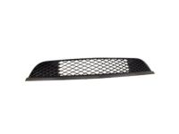 Ford 7R3Z-17K945-AA Lower Grille, Front Ford 7R3Z-17K945-AA Lower Grille, Front