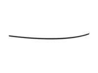 Ford CP9Z-5850463-A Roof Molding, Driver Side