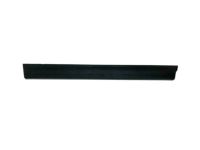 Ford CV6Z-5413208-AB Front Sill Plate, Black, Passenger Side