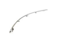 Ford 3W4Z-17C829-BA Cover Molding, Driver Side Ford 3W4Z-17C829-BA Cover Molding, Driver Side