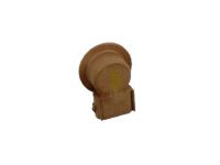 Ford 2U5Z-13411-GB Signal Lamp Bulb Socket, Rear