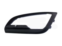 Ford GN1Z-15266-AB Lamp Bezel, Black, Front Driver Side