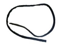 Ford 8L2Z-78404A06-A Weatherstrip, Rear