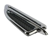 Ford DJ5Z-16228-BA Ornament, Front Driver Side Ford DJ5Z-16228-BA Ornament, Front Driver Side