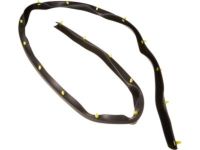 Lincoln Mark LT Weather Strip - 4L3Z-16101C36-AA Lower Seal Strip