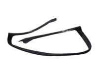 Ford AR3Z-7603110-A Weatherstrip Ford AR3Z-7603110-A Weatherstrip