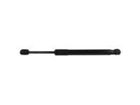 Ford AG1Z-54406A10-B Lift Cylinder, Rear Ford AG1Z-54406A10-B Lift Cylinder, Rear