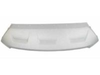 Ford GJ5Z-8419-AA Trim Molding, Silver, Front Ford GJ5Z-8419-AA Trim Molding, Silver, Front
