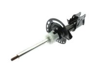 Ford HG9Z-18124-A Strut, Front Passenger Side Ford HG9Z-18124-A Strut, Front Passenger Side