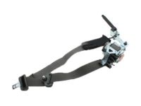 Ford FL3Z-16611B08-AA Outer Belt, Gray, Front Passenger Side