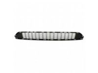 Ford FT4Z-17K945-AA Bumper Grille, Front Center Lower