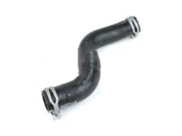 Ford 9L8Z-8286-A Lower Hose Ford 9L8Z-8286-A Lower Hose