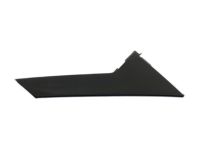 Ford DP5Z-54255A62-AB Applique, Passenger Side Ford DP5Z-54255A62-AB Applique, Passenger Side
