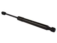 Ford 1W6Z-16C826-BA Lift Cylinder, Driver Side Ford 1W6Z-16C826-BA Lift Cylinder, Driver Side