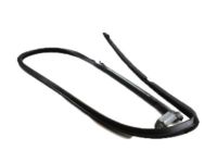 Ford CC3Z-2521596-B Run Channel, Front Passenger Side