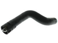 Ford F2GZ-8286-A Lower Hose Ford F2GZ-8286-A Lower Hose