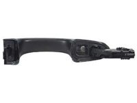 Ford DS7Z-5422404-AAPTM Handle, Outside, Rear Outer Passenger Side Ford DS7Z-5422404-AAPTM Handle, Outside, Rear Outer Passenger Side