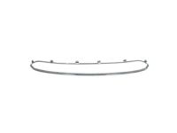 Ford AE5Z-17K945-A Grille Surround, Front Lower Ford AE5Z-17K945-A Grille Surround, Front Lower